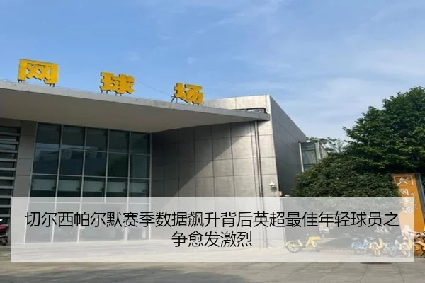 切尔西帕尔默赛季数据飙升背后英超最佳年轻球员之争愈发激烈