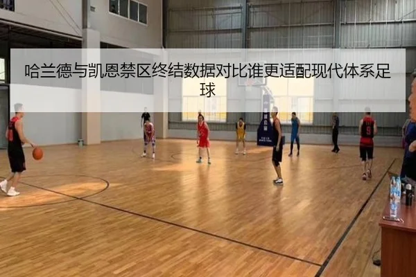 哈兰德与凯恩禁区终结数据对比谁更适配现代体系足球