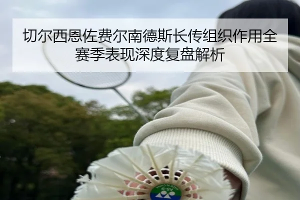 切尔西恩佐费尔南德斯长传组织作用全赛季表现深度复盘解析