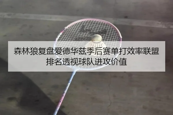 森林狼复盘爱德华兹季后赛单打效率联盟排名透视球队进攻价值